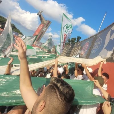 useomanto's profile picture. Ministério da Saúde adverte: 
Torcer contra o Palmeiras pode causar graves problemas psicológicos.