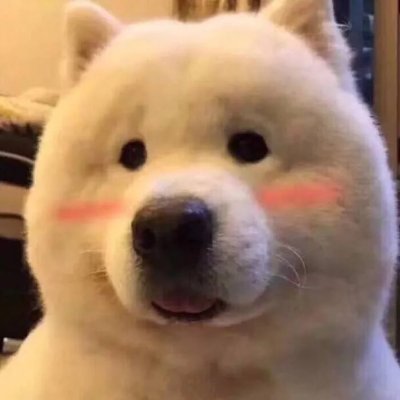 Kaka5858001's profile picture. Faith is produced by a desire, because you will believe if you want to believe, you will believe if you want to believe, and you will believe if you have a kind