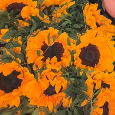 Aseel_py's profile picture. Data scientist in training, overfitting my life 👩🏻‍💻