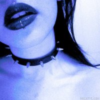 Swingers Hotwife Cuckold QoS (@swingersqos) 's Twitter Profile