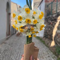 Güley (@borguley) 's Twitter Profile