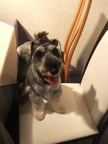 takate1011's profile picture. 初めましてtakateです。youtubeの動画配信も始めました。ファミコン、スーファミ、サターン、ps2、psp、odin2を保有。