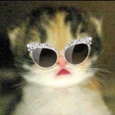 MissMedRo's profile picture. Je m'appelle Reginette Thermopholis Renaldi .Je suis une femme, travailleuse, créative, désordonnée, genti 🏳️‍🌈Everyone is temporary, don’t get attached