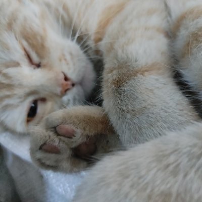 gusdei1658607's profile picture. 