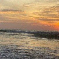 Farel Muhammad (@farelmuham45463) 's Twitter Profile