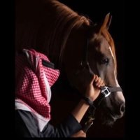 هاني الدعجاني (@_hani88m) 's Twitter Profile