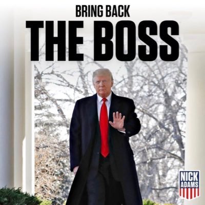 fight for freedom for the world , no US-citizen but Trump-Supporter , patriot , writing on my first book ,...