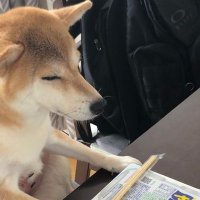 裏垢男子 (@jvbtcd6fd010100) 's Twitter Profile