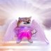 Ultraviolet Fella (@violet18violeta) Twitter profile photo Ultraviolet Fella (@violet18violeta) Twitter profile photo