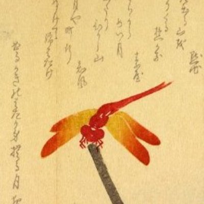 zenfarting's profile picture. bumbling about...