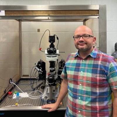 Assistant Professor of Psychology, Phikal fan, video game hipster, Radiohead expert, saison aficionado, pug dad