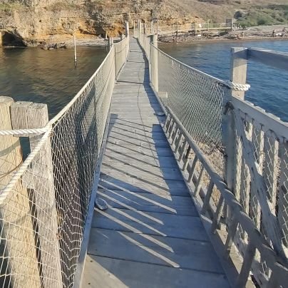 macrominimo's profile picture. 