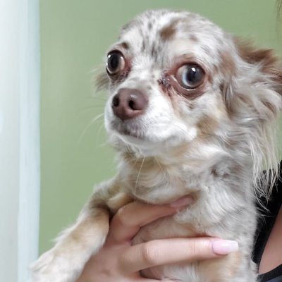 vasconcelloclau's profile picture. 