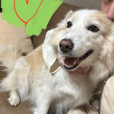 kiaecal's profile picture. tiktok: @kiaecal