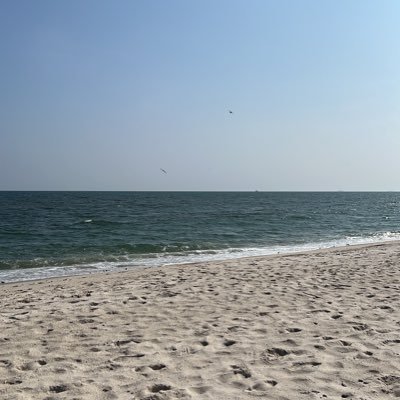 andreviveirosny's profile picture. 