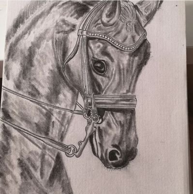 SutilFran1980's profile picture. 