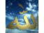 adelzezo87's profile image