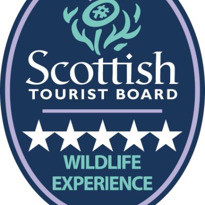 Birdwatcher, Birding Tour Guide at Birding Ecosse. Bird Ringer, why not join me on a tour, see https://t.co/HKfbx2BWX3 for details