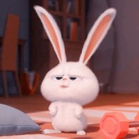🐰🌸BunnyAbbyy2🌸🐰 (@abbyy2bunny2) 's Twitter Profile