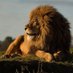 Lion (@li0ncrazy) Twitter profile photo Lion (@li0ncrazy) Twitter profile photo