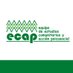 ECAP (@ECAPguatemala) Twitter profile photo