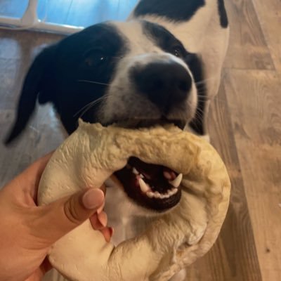 neuzflash's profile picture. customsbyaubrey on IG!!!!