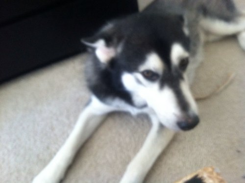 jaggerbytez's profile picture. Im just wait for de bus. http://t.co/ekcBIUt1Qi