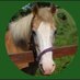 Horsey Matilda (@horseymatilda) Twitter profile photo Horsey Matilda (@horseymatilda) Twitter profile photo