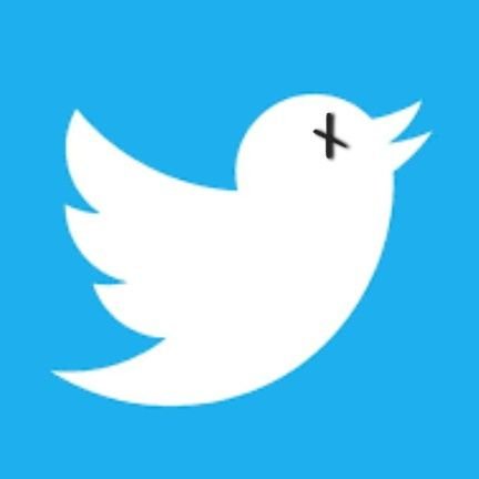 CryptoNormyPleb's profile picture. unfluencer | shalomalekoum | aspiring ungovernable                     
                            
banner credit: @nqtv