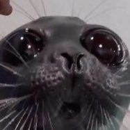 Globbits :3 (@jolymes_enjoyer) 's Twitter Profile