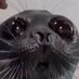 Globbits :3 (@jolymes_enjoyer) Twitter profile photo Globbits :3 (@jolymes_enjoyer) Twitter profile photo