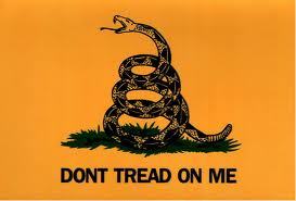 simpleprepper's profile picture. 