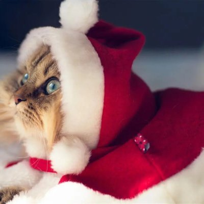 amy886818's profile picture. All the hard work you do won't give you everything you want right away, but it can gradually make you who you want to be