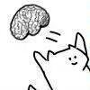 zhngziyun1598's profile picture. 