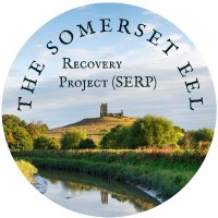 The Somerset Eel Recovery Project(@The_peoples_eel) 's Twitter Profile Photo