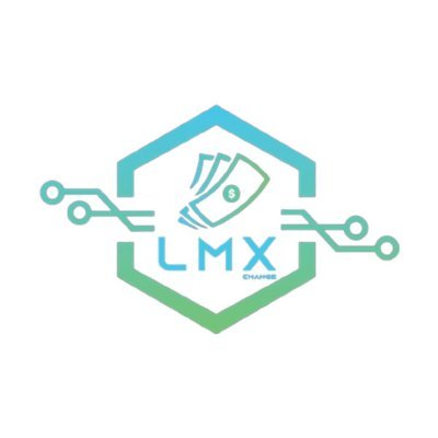 LMX_Solutions's profile picture. Elevate your business with LMX Solutions: Seamless Entrepreneur-Investor connections!