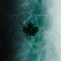 scorpionking1708 (@xscxrpion) 's Twitter Profile