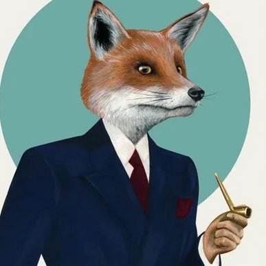 Sir Fox Bombadil 🦊💣