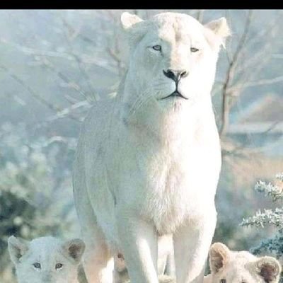 Godwin0256's profile picture. 