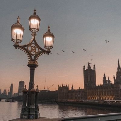 nuray_solmaaz's profile picture. 