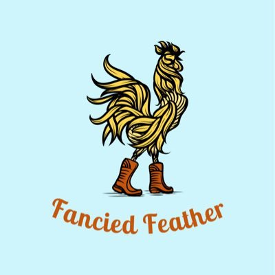 Welcome to Fancied Feather. We are a new country clothing brand that aims to bring comfort and style in all of our designs 🐓🤠