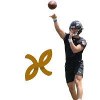 Henderson QB Training(@HendersonQBU) 's Twitter Profile Photo