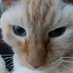 Andrew (@andrewr64216299) Twitter profile photo Andrew (@andrewr64216299) Twitter profile photo