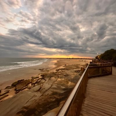 tranderson8888's profile picture. 