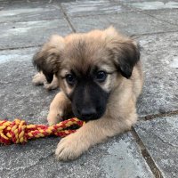 Carol (@caroldisaster) 's Twitter Profile Photo