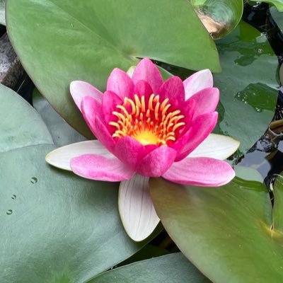 noa5216426's profile picture. 