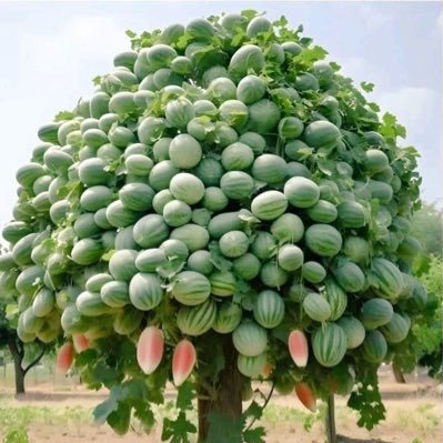 Everly892789's profile picture. 