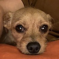 B (@b__optimistic) 's Twitter Profile