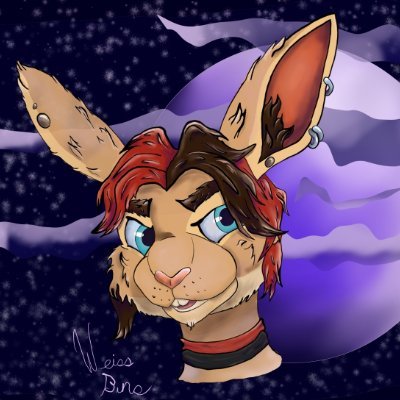 🔞🏳️‍🌈
Gay Furry Bunny Boi
telegram: @WeissBnuuy
30 years old.
Artist & Musician
Taking requests, but not commissions.
trying to be more active.