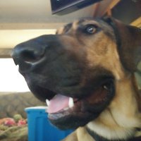 Wayne Harvey (@wayne_harv35529) 's Twitter Profile